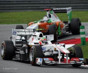 Puzzle Sergio Perez - Sauber - Sepang 2011